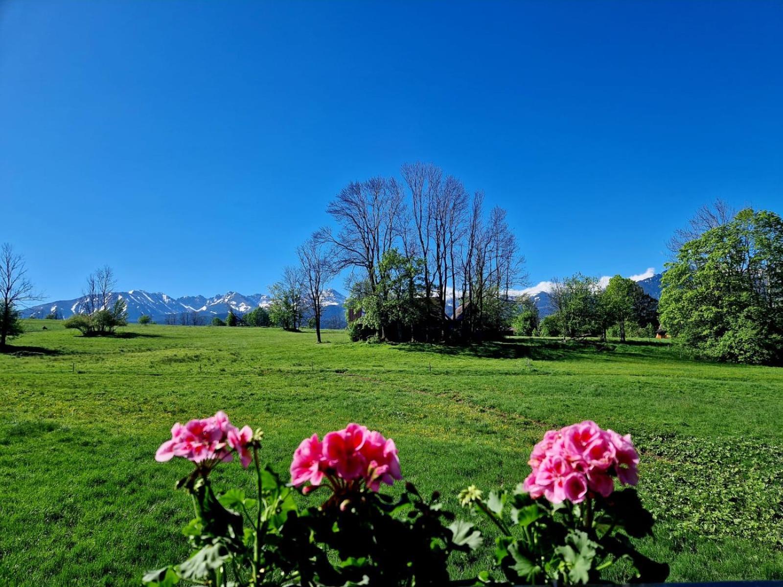 Zakopianski Zakatek Zakopane Exteriér fotografie